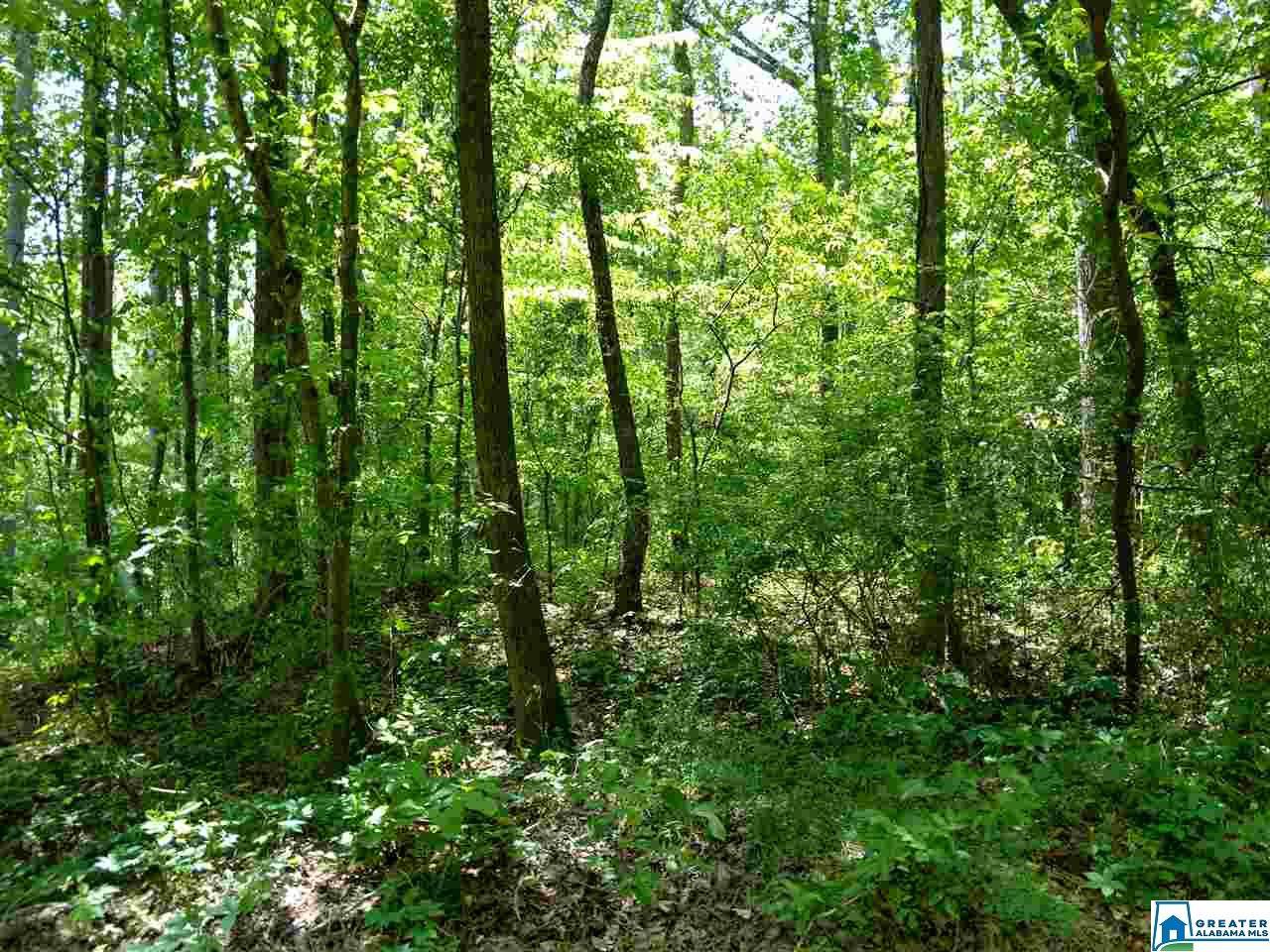 7442 Elliott Ln - Photo 1