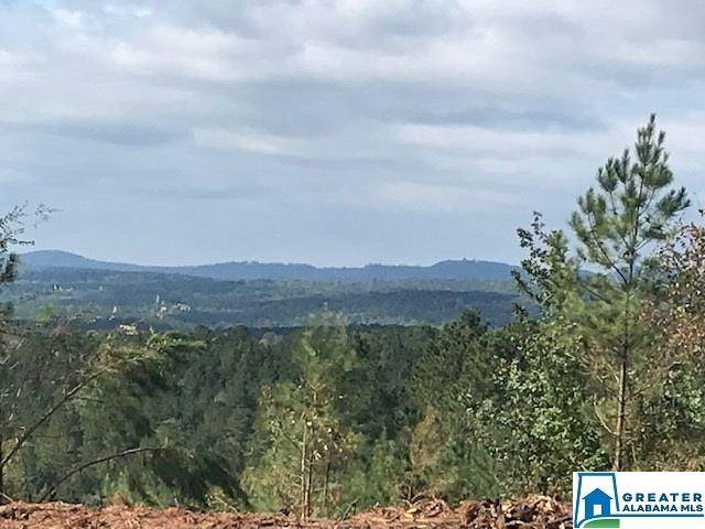 0 Sportsman Lake Rd - Photo 1