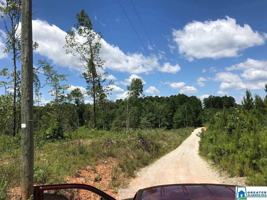 14.85 acres Co Rd 214 - Photo 1