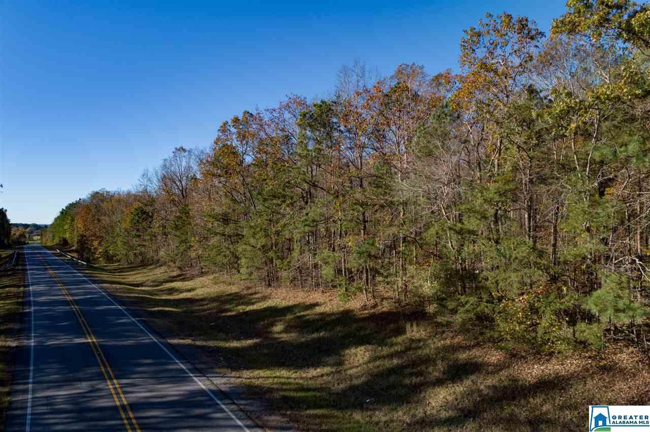 25741 Hwy 79 - Photo 1