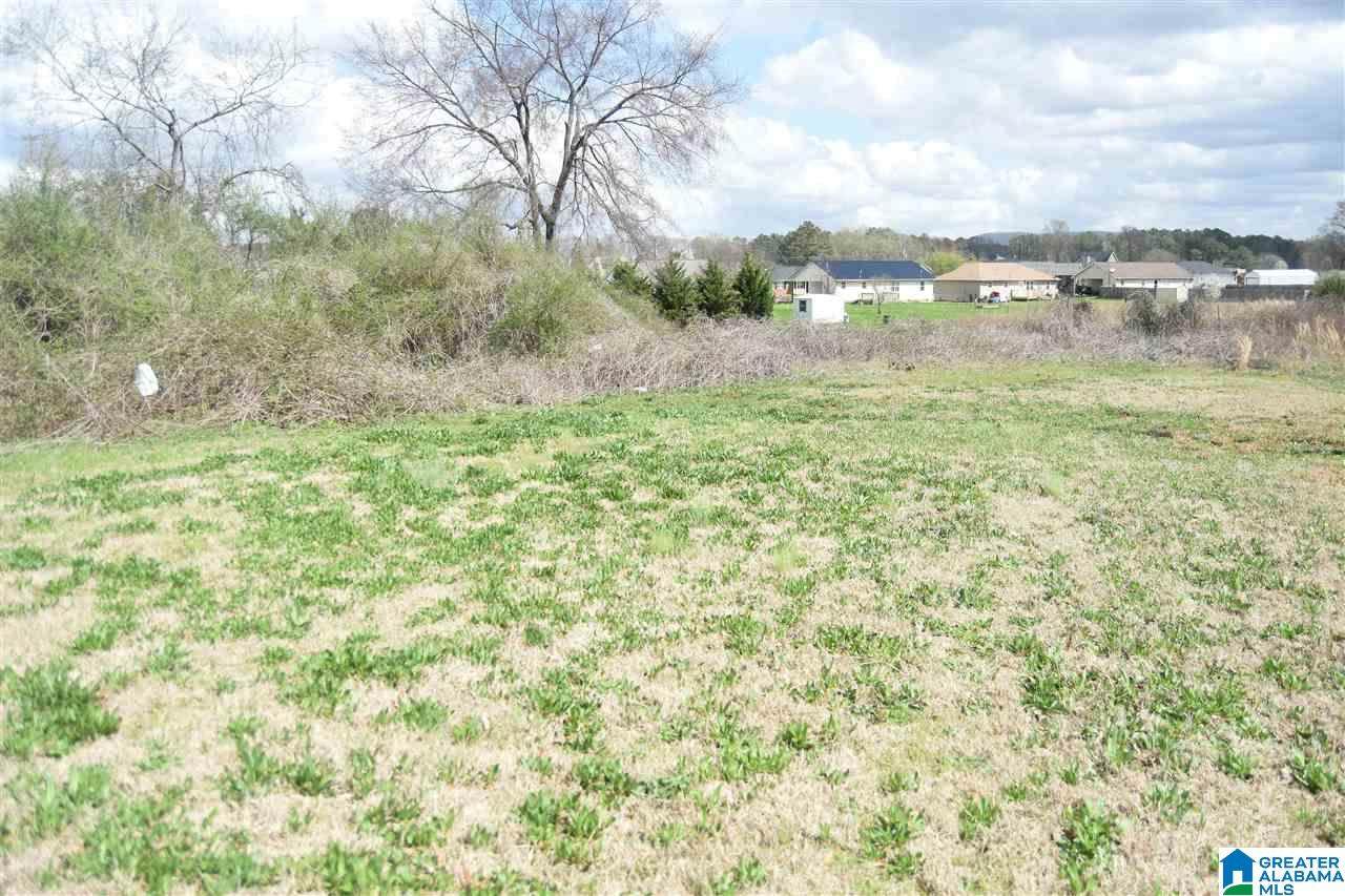 0 Peaceburg Rd - Photo 1