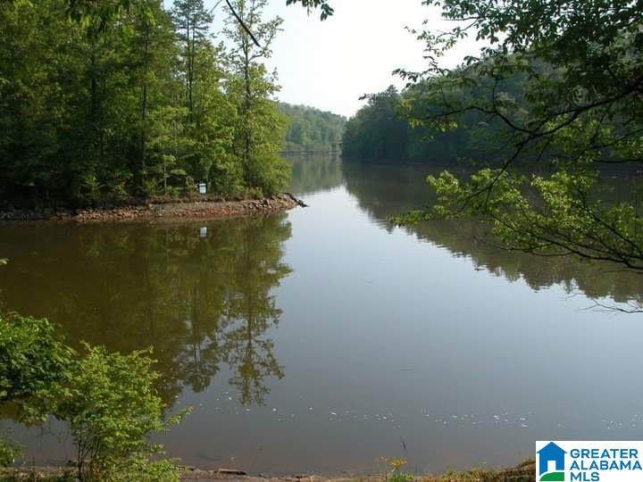 Lot 9 Lost Creek Cove Rd - Photo 1