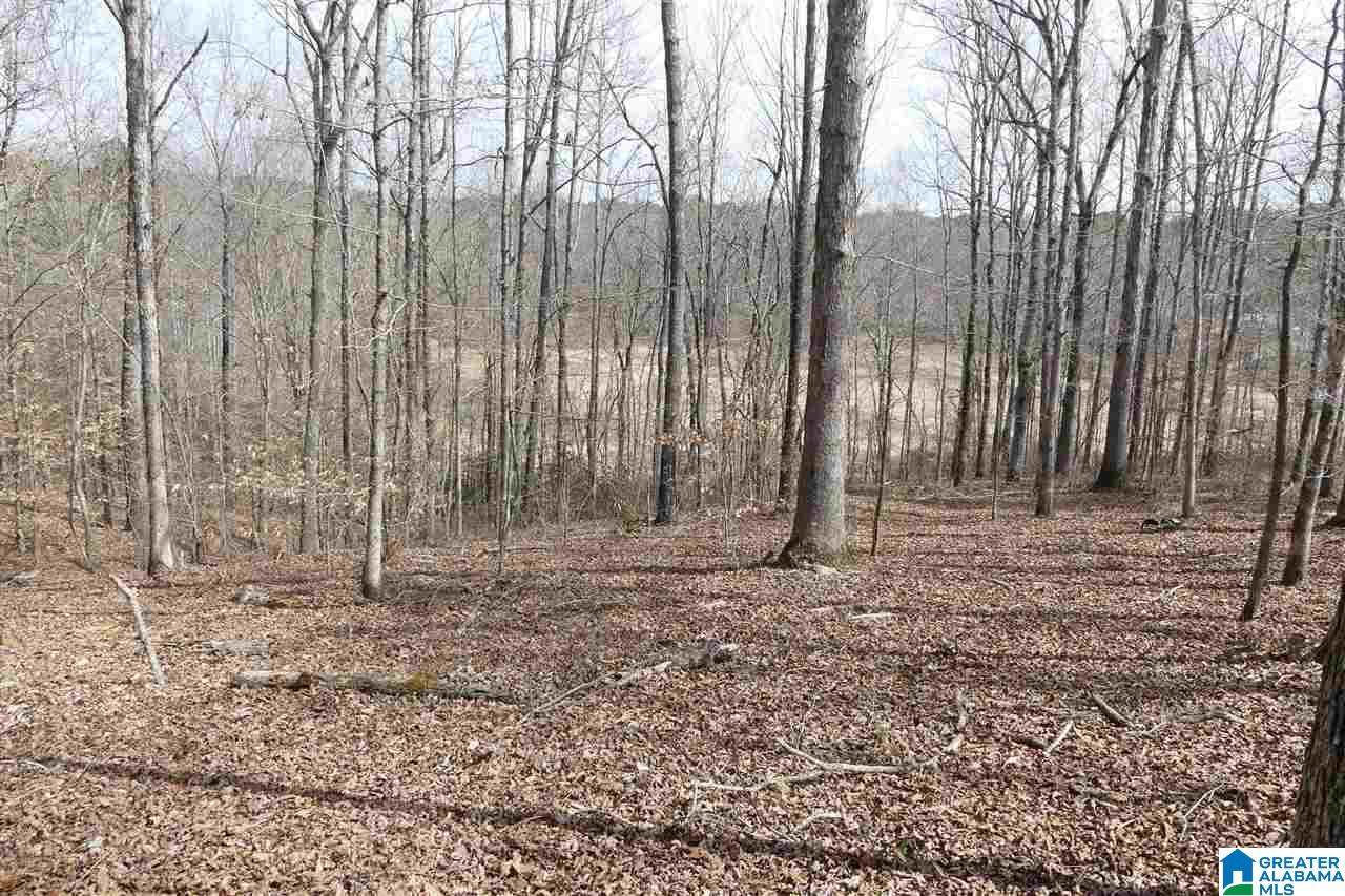 LOT 27 Co Rd 4315 - Photo 1