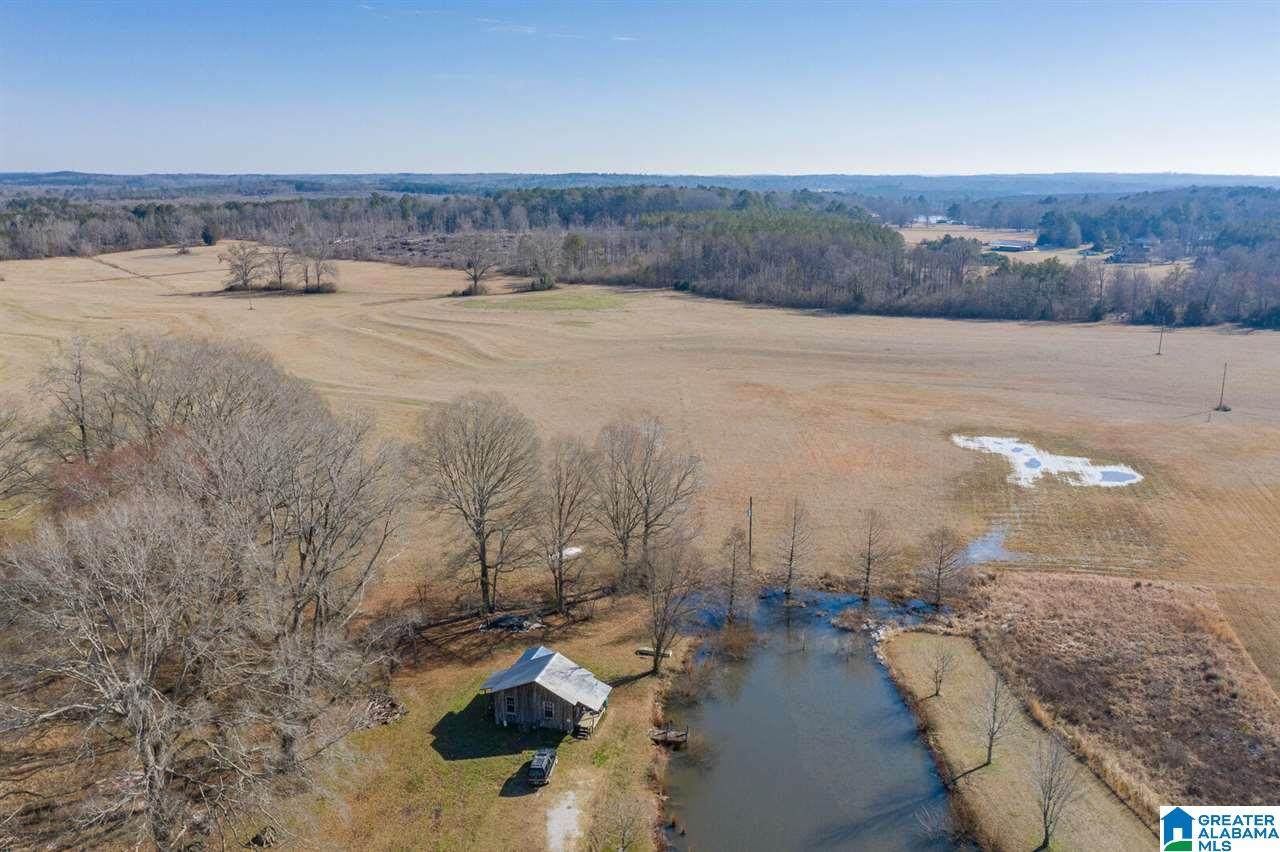 11218 Vance Blocton Road - Photo 1