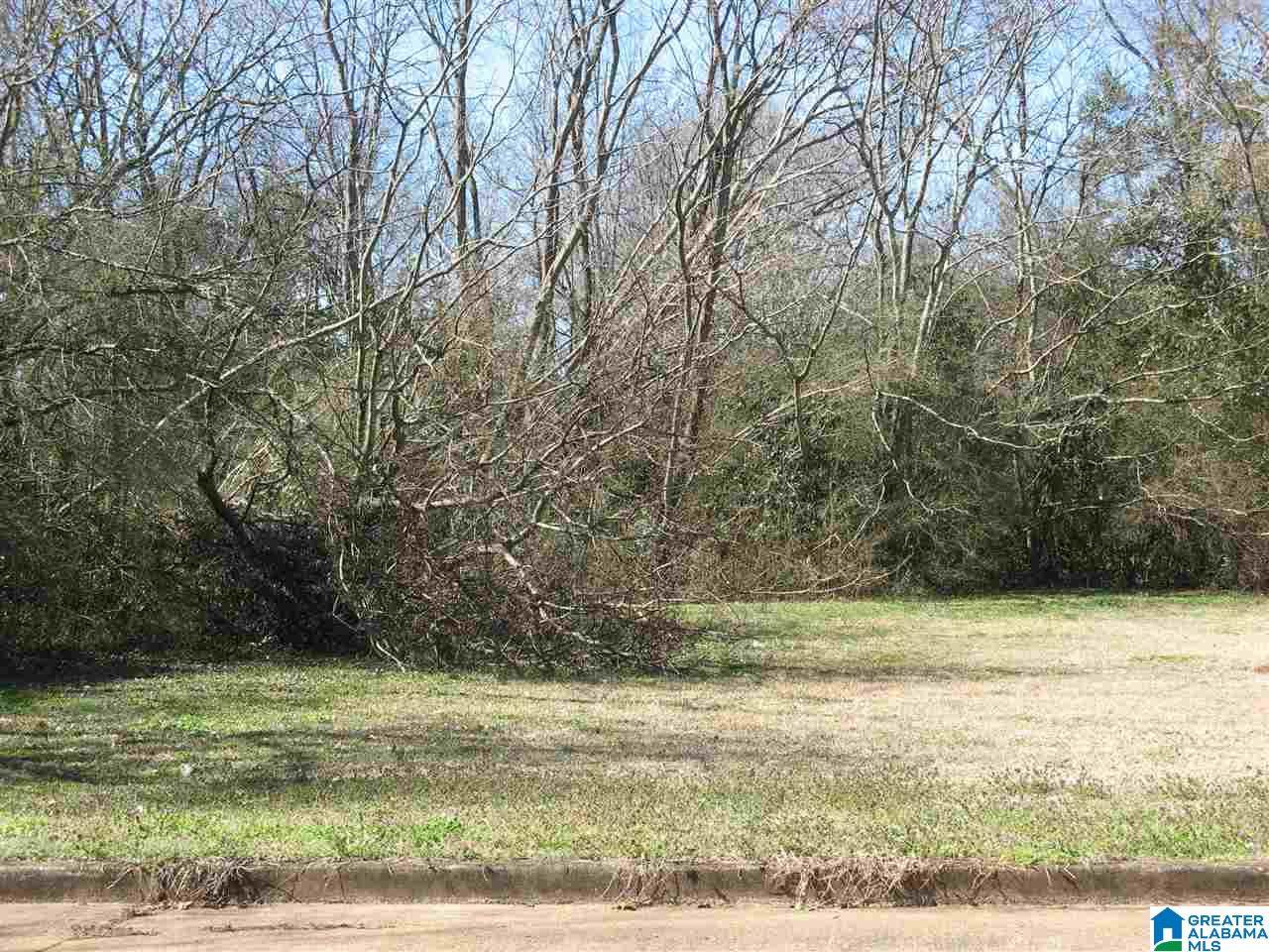 407 Nashville Ave - Photo 1