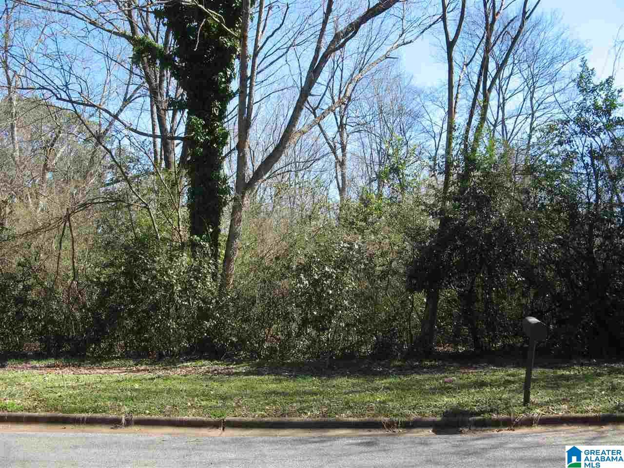 404 Louisville Ave - Photo 1