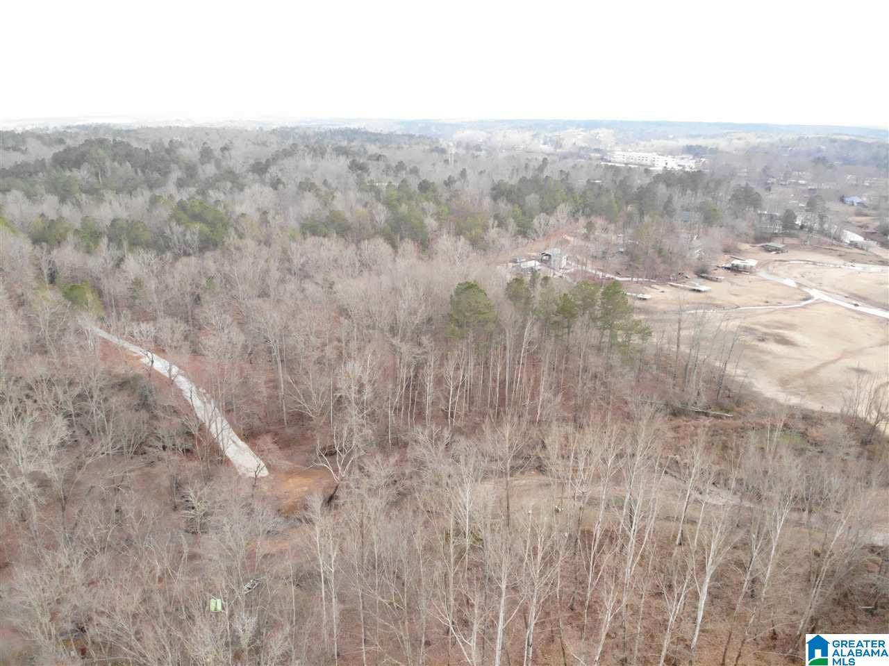 Lot 8 County Road 244 - Photo 1