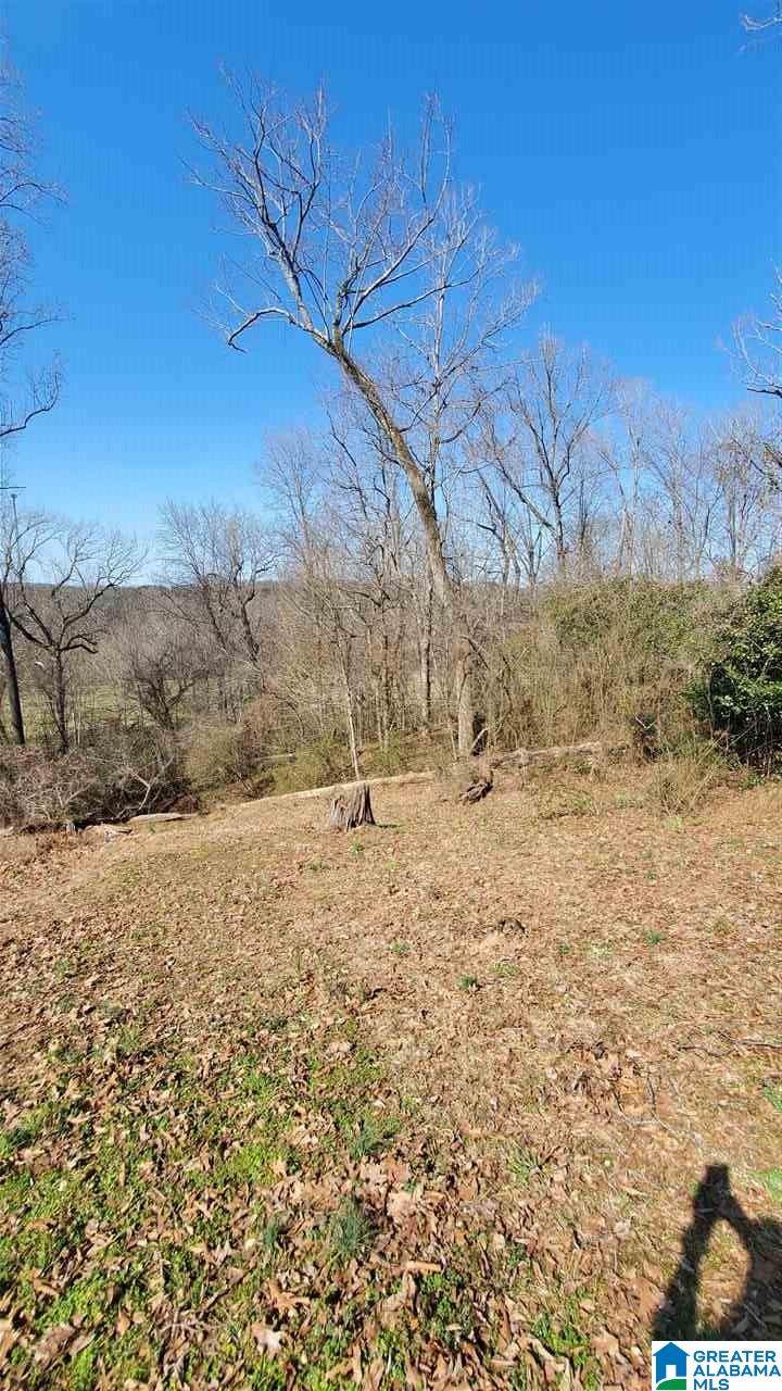 0 Tomahawk Trail - Photo 1