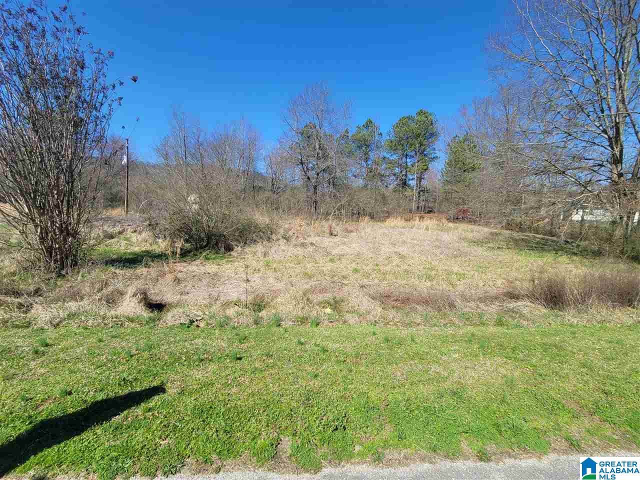 0 County Road 49 - Photo 1