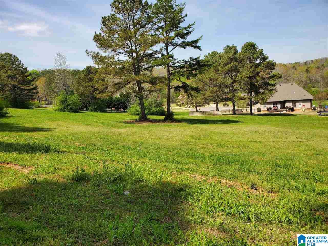 Village Springs Road - Photo 1