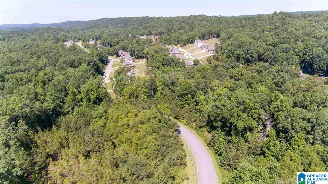 0 Bent Creek Trace - Photo 1