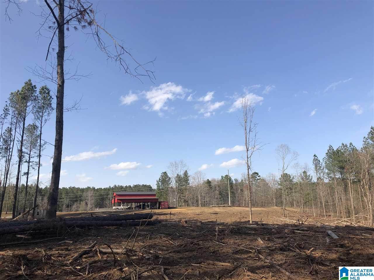 3600 Sportsman Lake Road - Photo 1