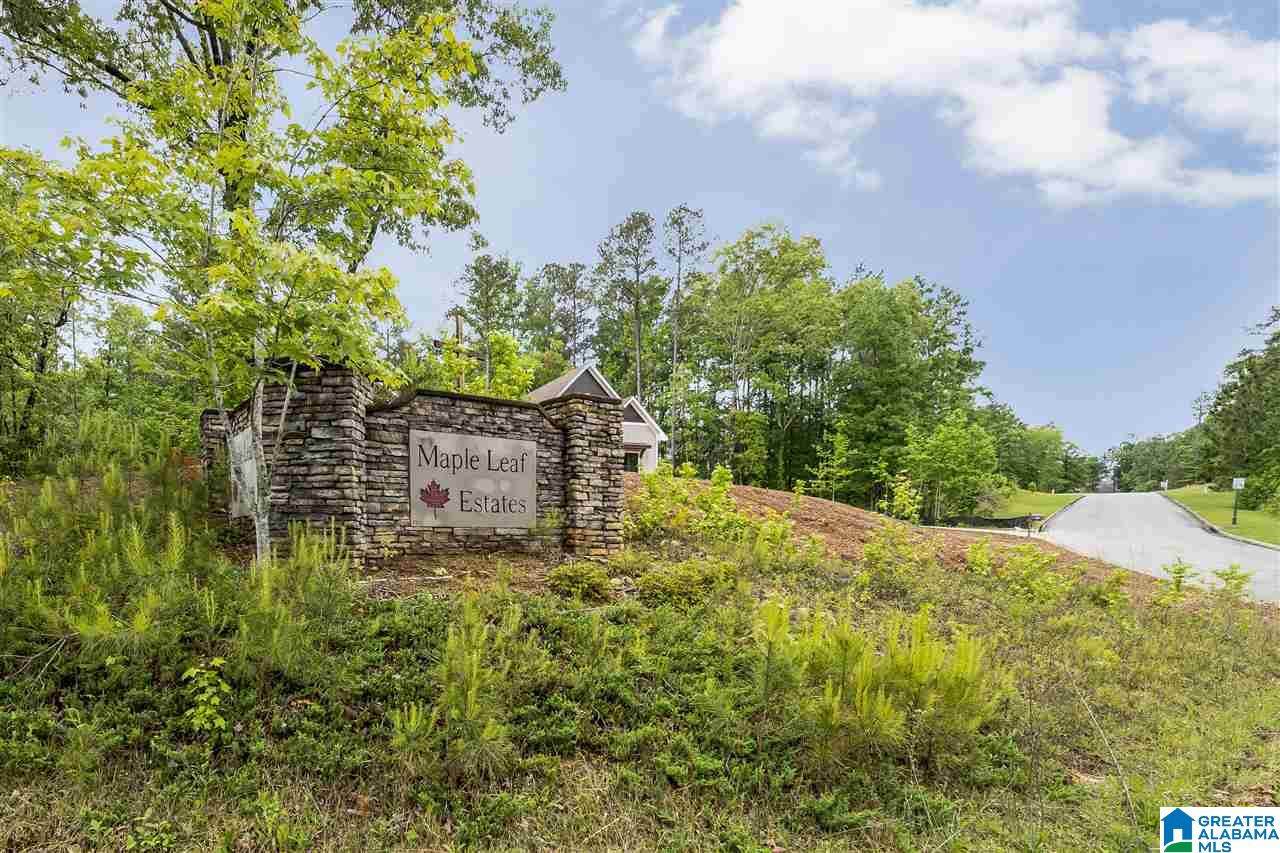 100 Maple Leaf Trail - Photo 1
