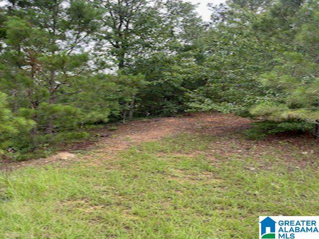 Preserve Trail - Photo 1