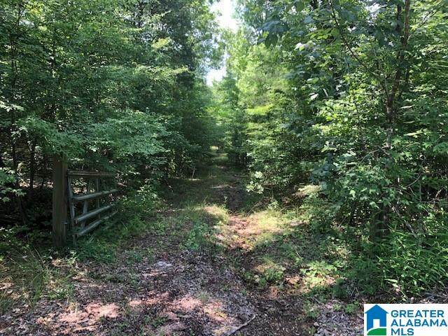 285 Warrior River Highlands Road - Photo 1