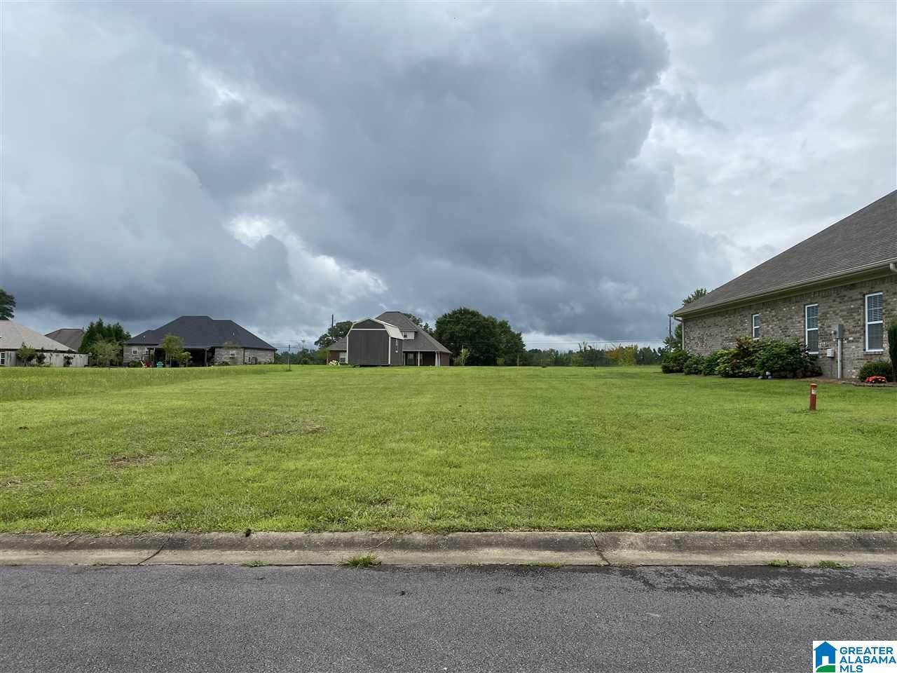 0 Village Lane - Photo 1