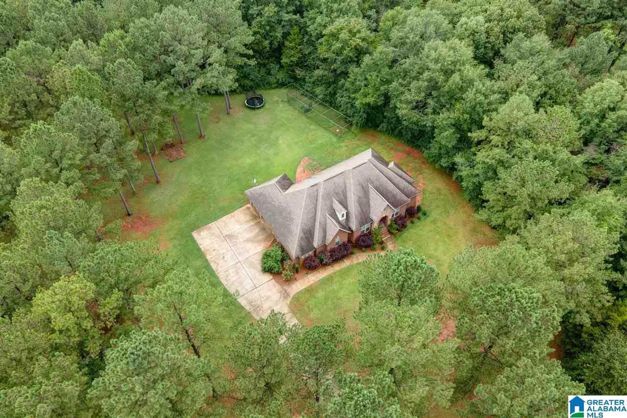 53 Wildberry Lane - Photo 1