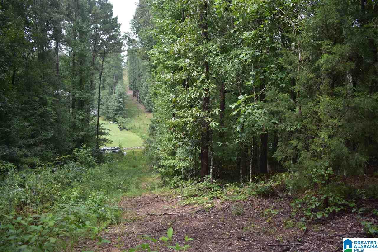 Lot 182 &183 River Bend Circle - Photo 1