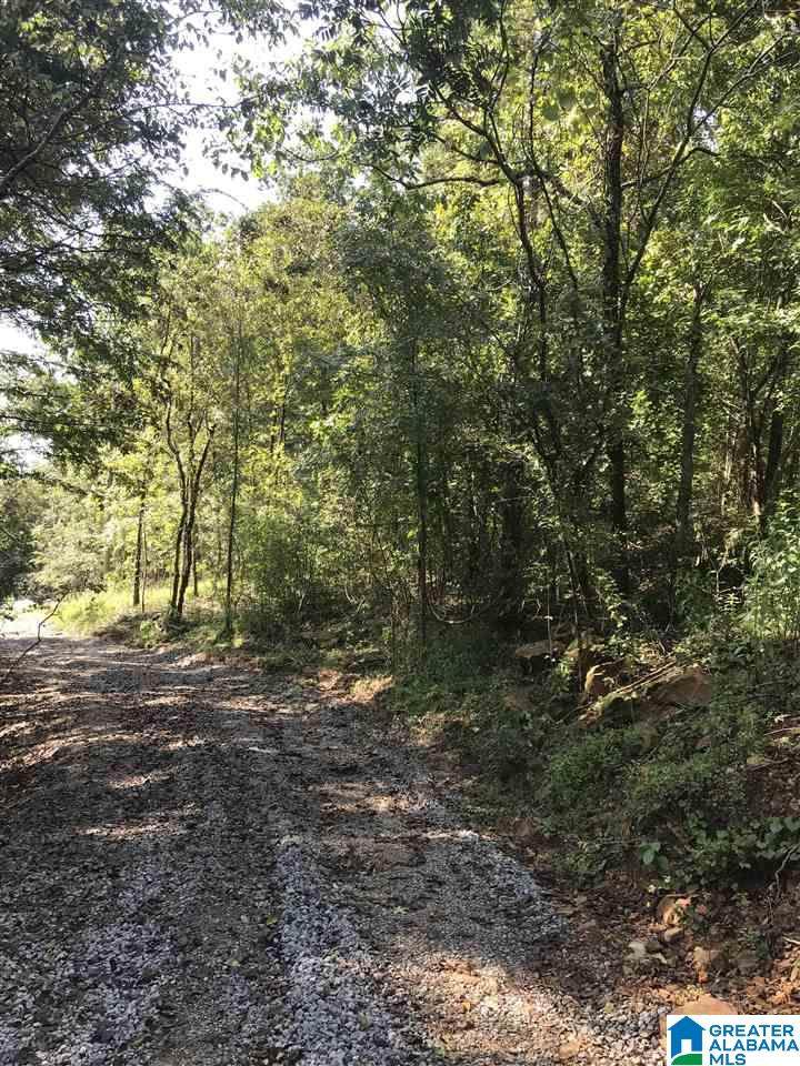 619 Ridgeview Drive - Photo 1