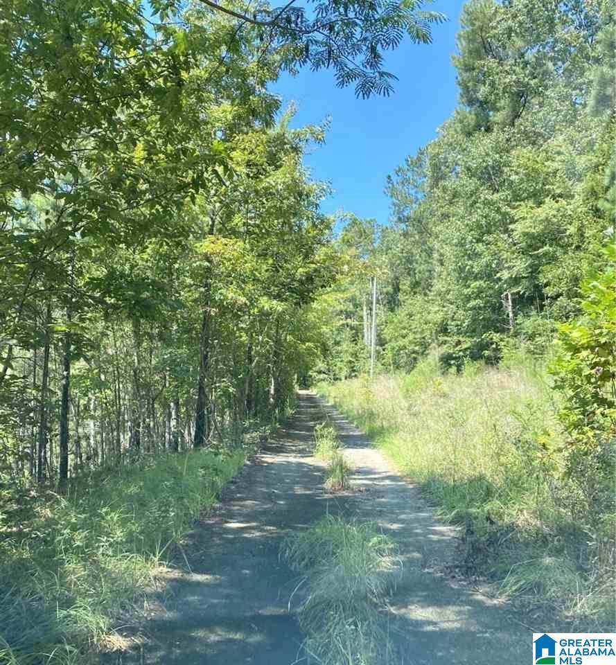 4608 Scenic View Trace - Photo 1