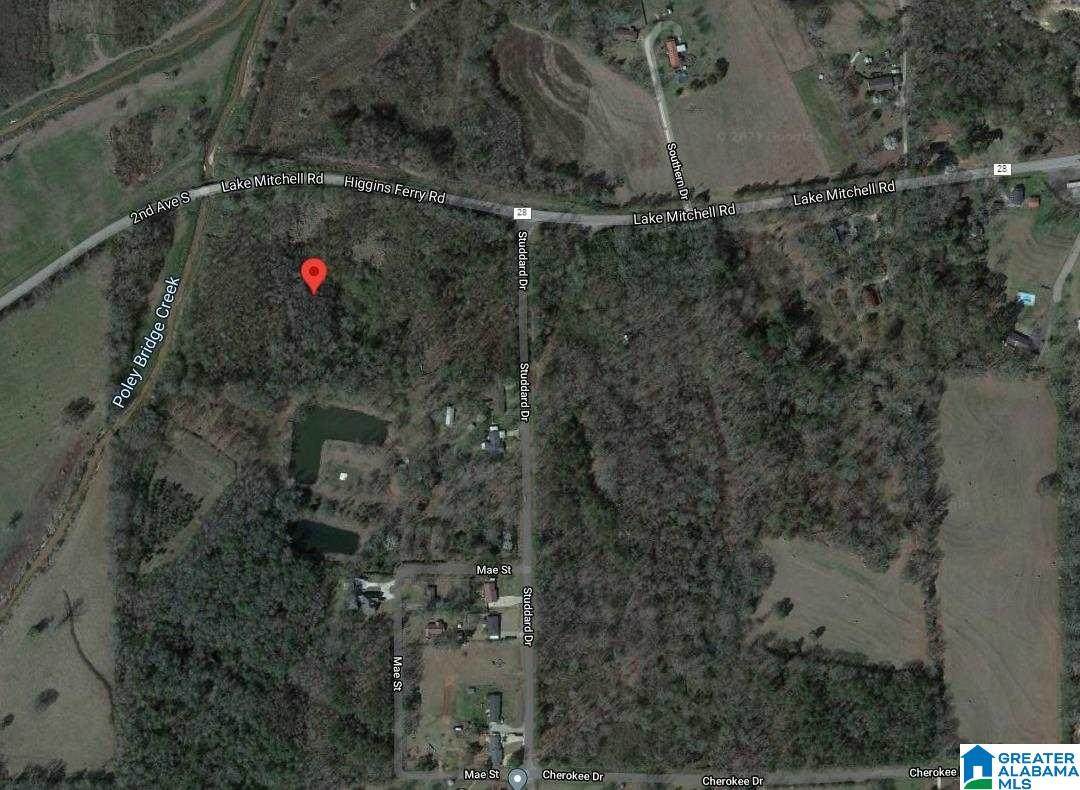 00 Lake Mitchell Road - Photo 1
