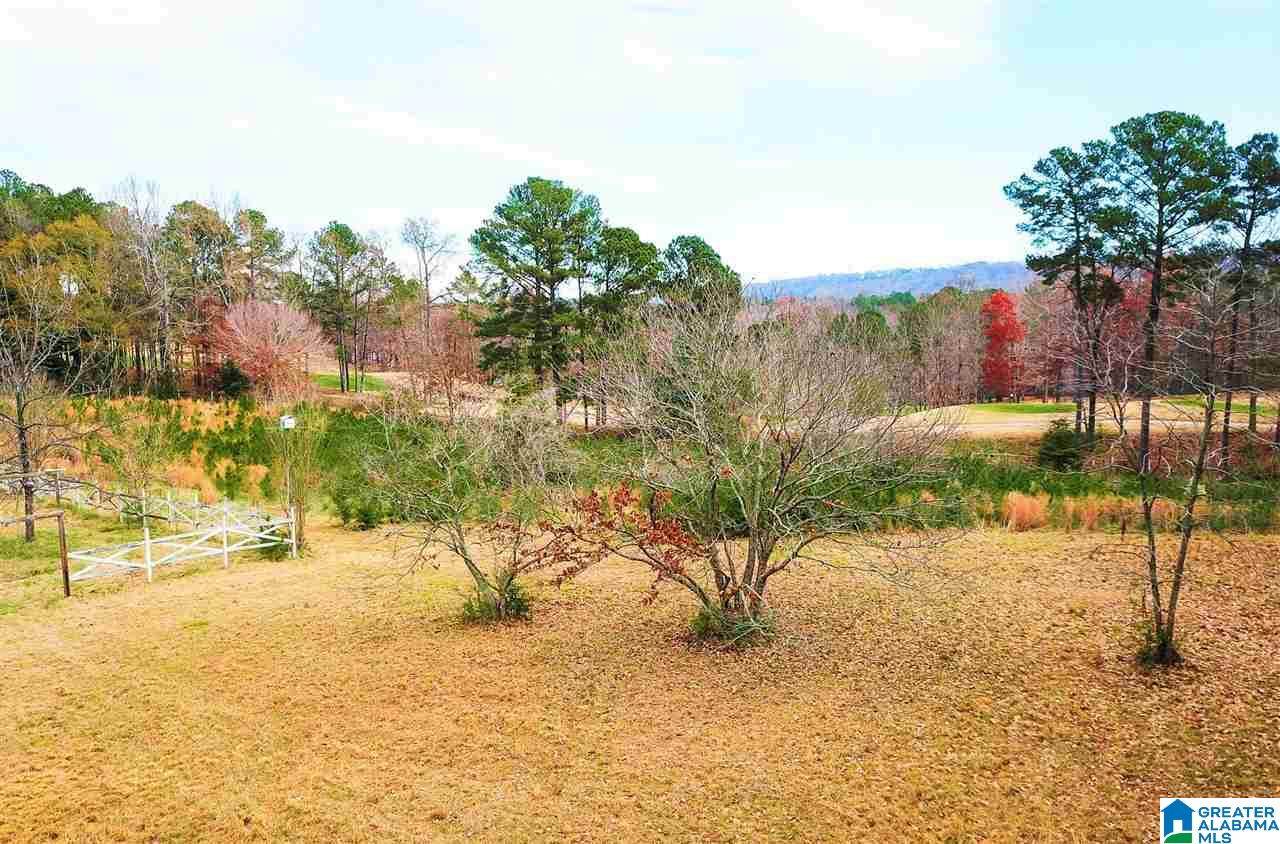 1501 Doss Drive - Photo 1