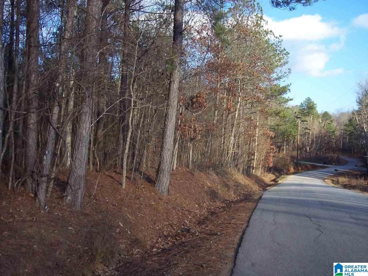 797 Dripping Rock Road - Photo 1