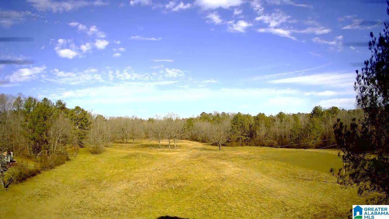 135 Highway 97 - Photo 1