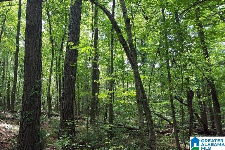 3131 County Road 57 - Photo 1
