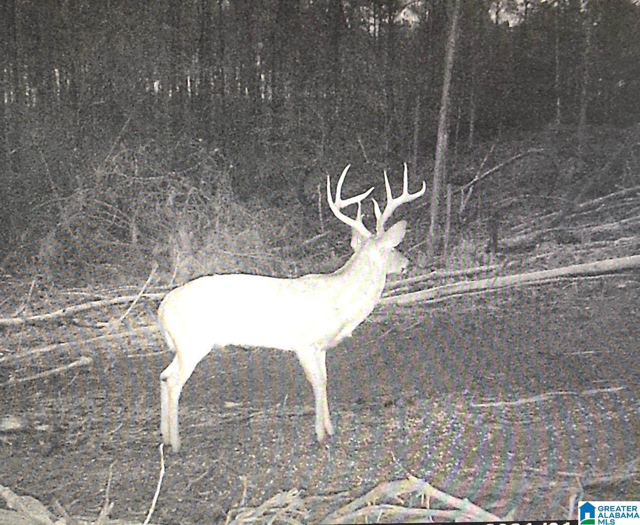 2011 Mccay Drive - Photo 1