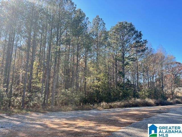00 Alabama Highway 77 - Photo 1