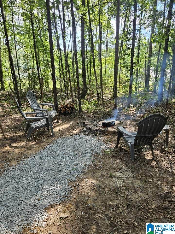 0 County Road 336 - Photo 1