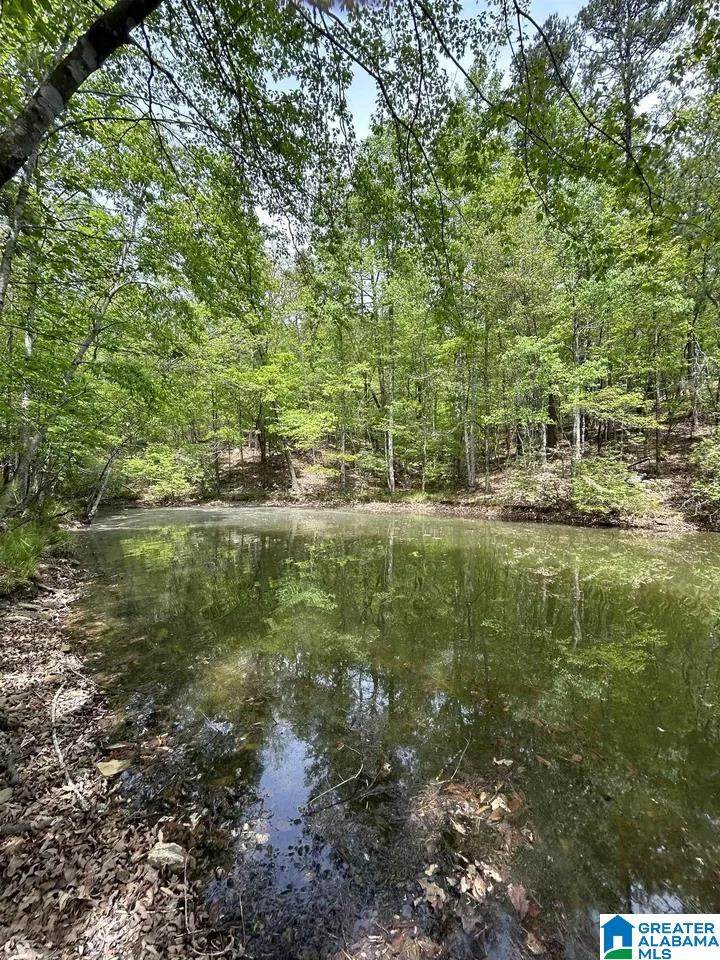 Lots 123 Red Cedar Drive - Photo 1