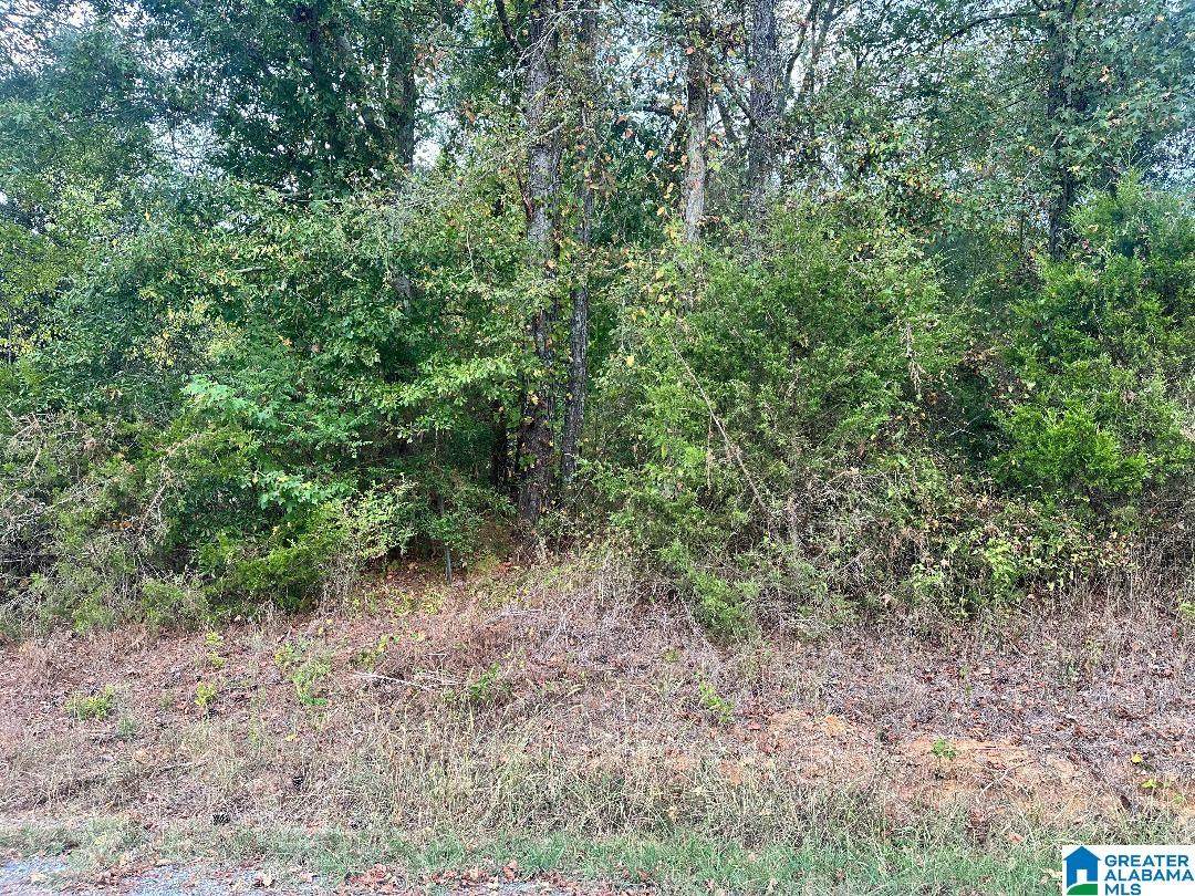 0 Liberty Road - Photo 1