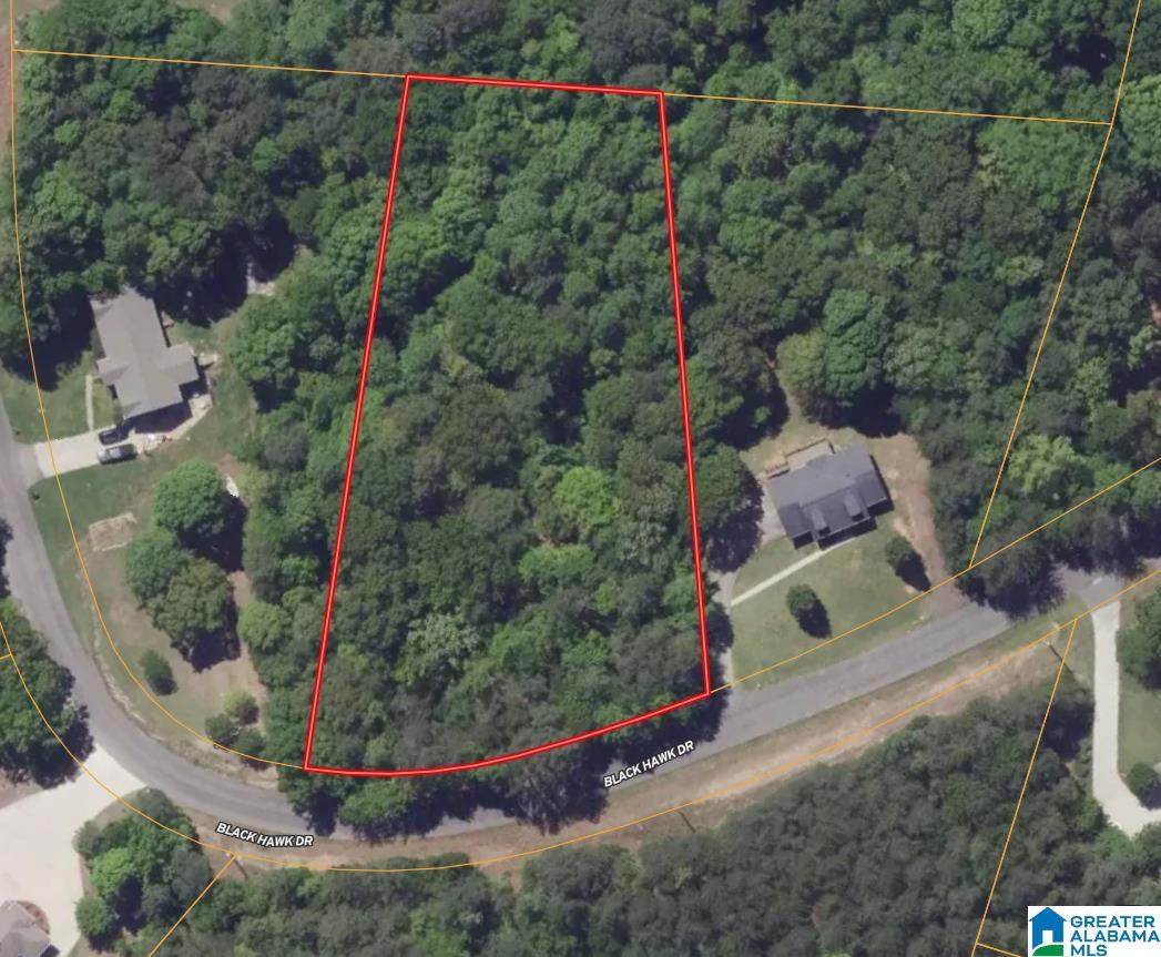 3874 Black Hawk Drive - Photo 1
