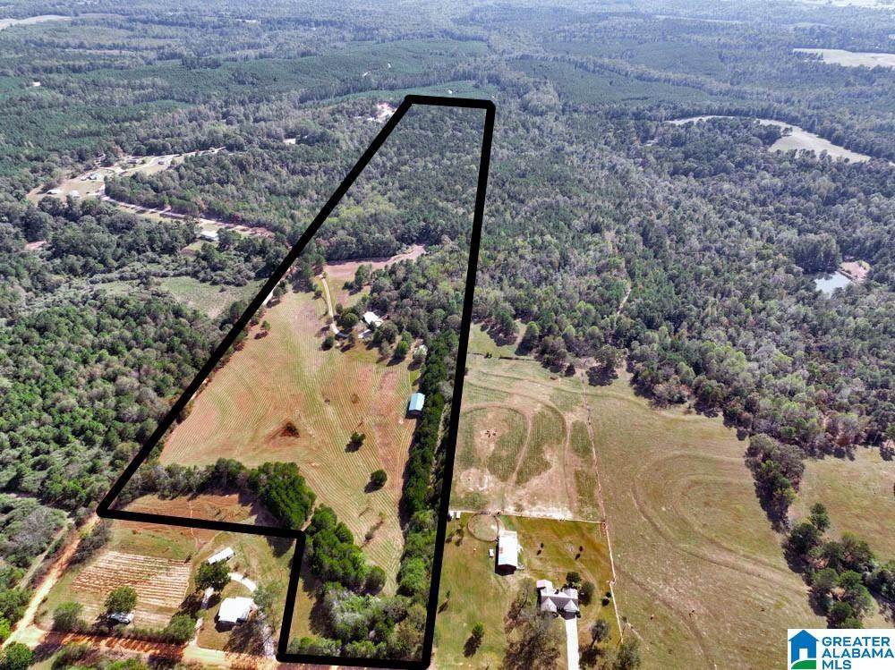 390 County Road 423 - Photo 1
