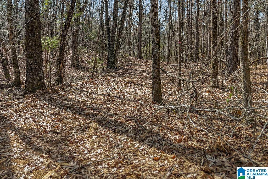 Lot 4 Highway 47 - Photo 1