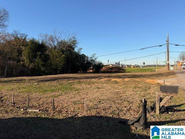 1204 Old Walker Chapel Road - Photo 1