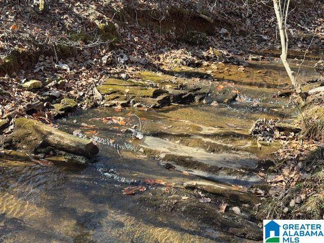 32 +/- Acres County Road 637 - Photo 1