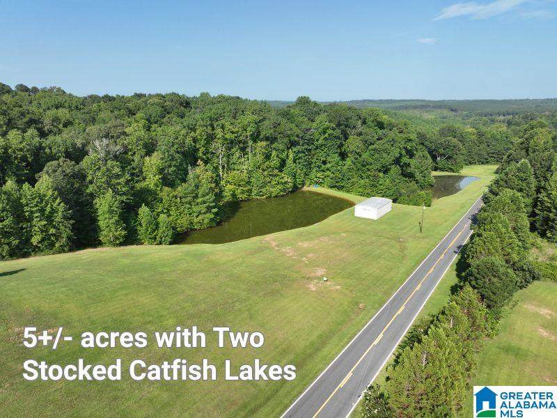 5.21acres County Road 61 - Photo 1