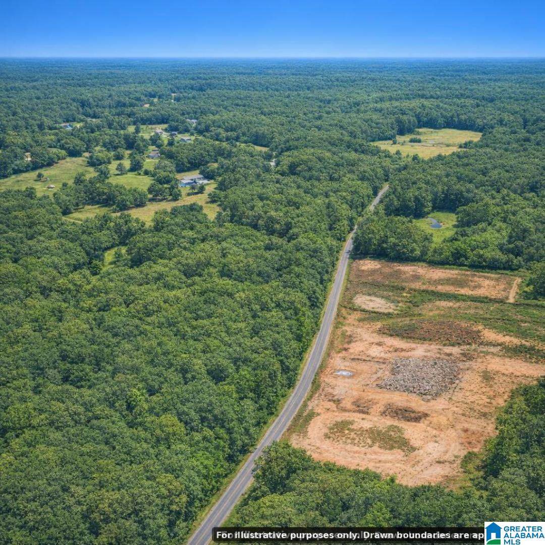 0 Jackson Trace Road - Photo 1