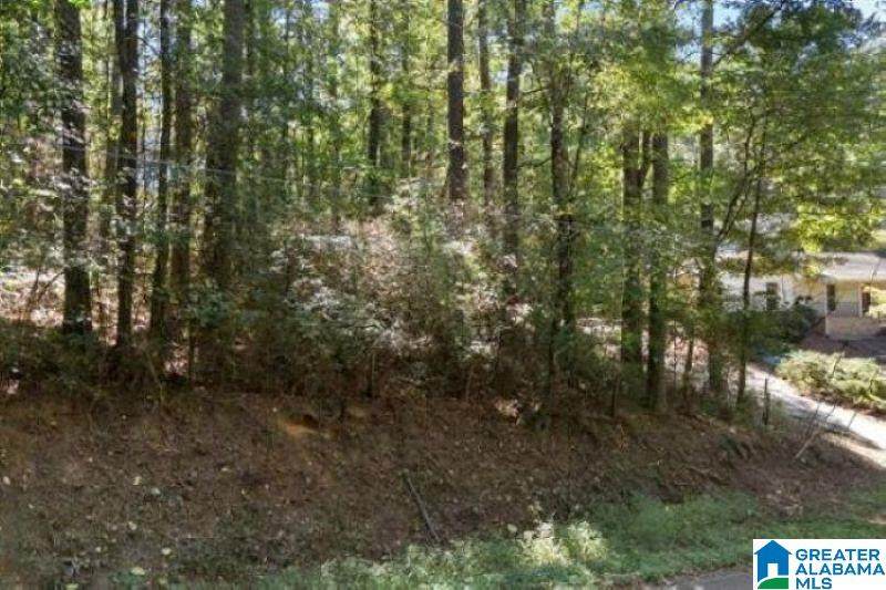 1722 Big Mountain Drive - Photo 1