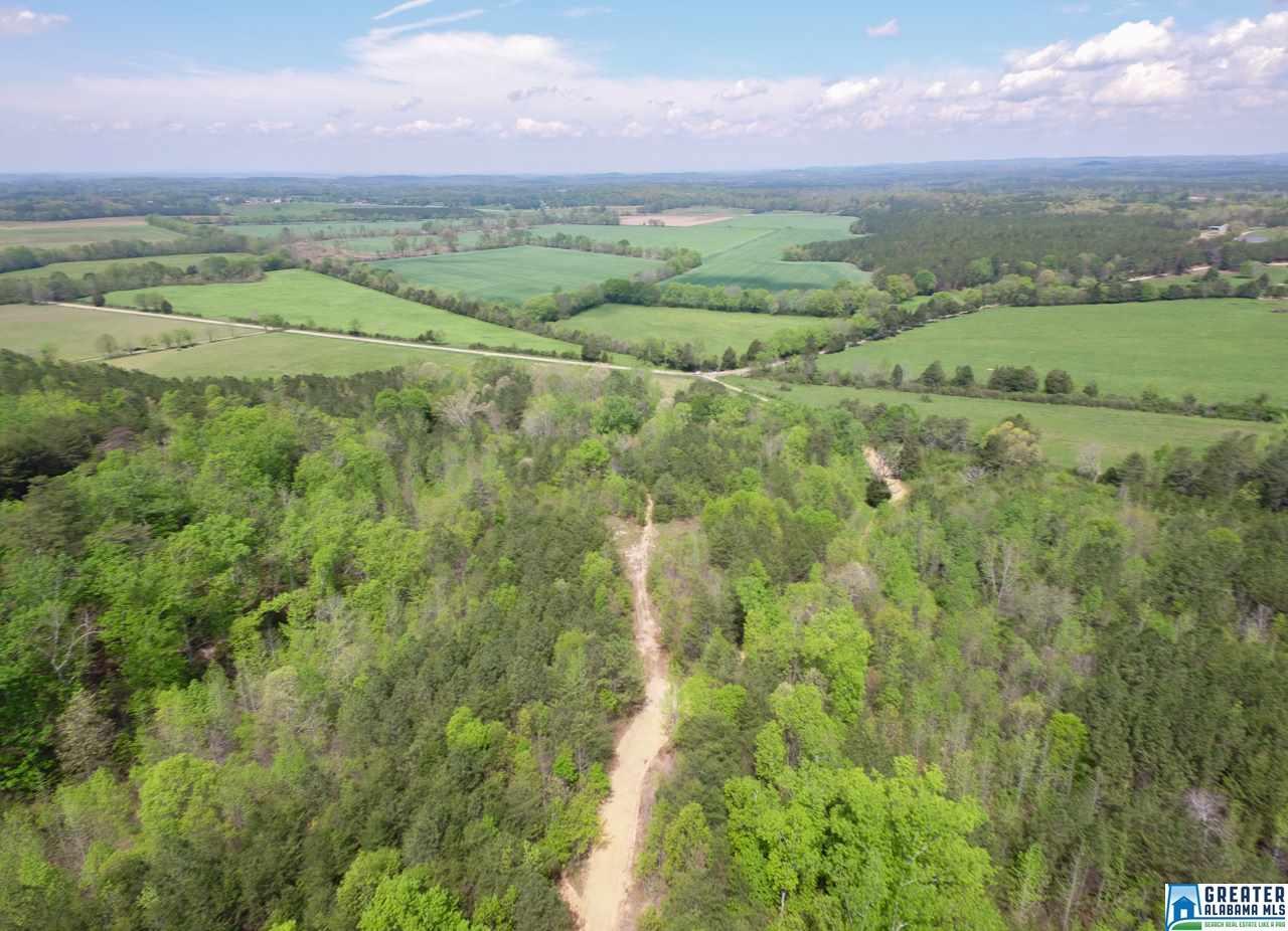0 Henderson Lake Rd - Photo 1