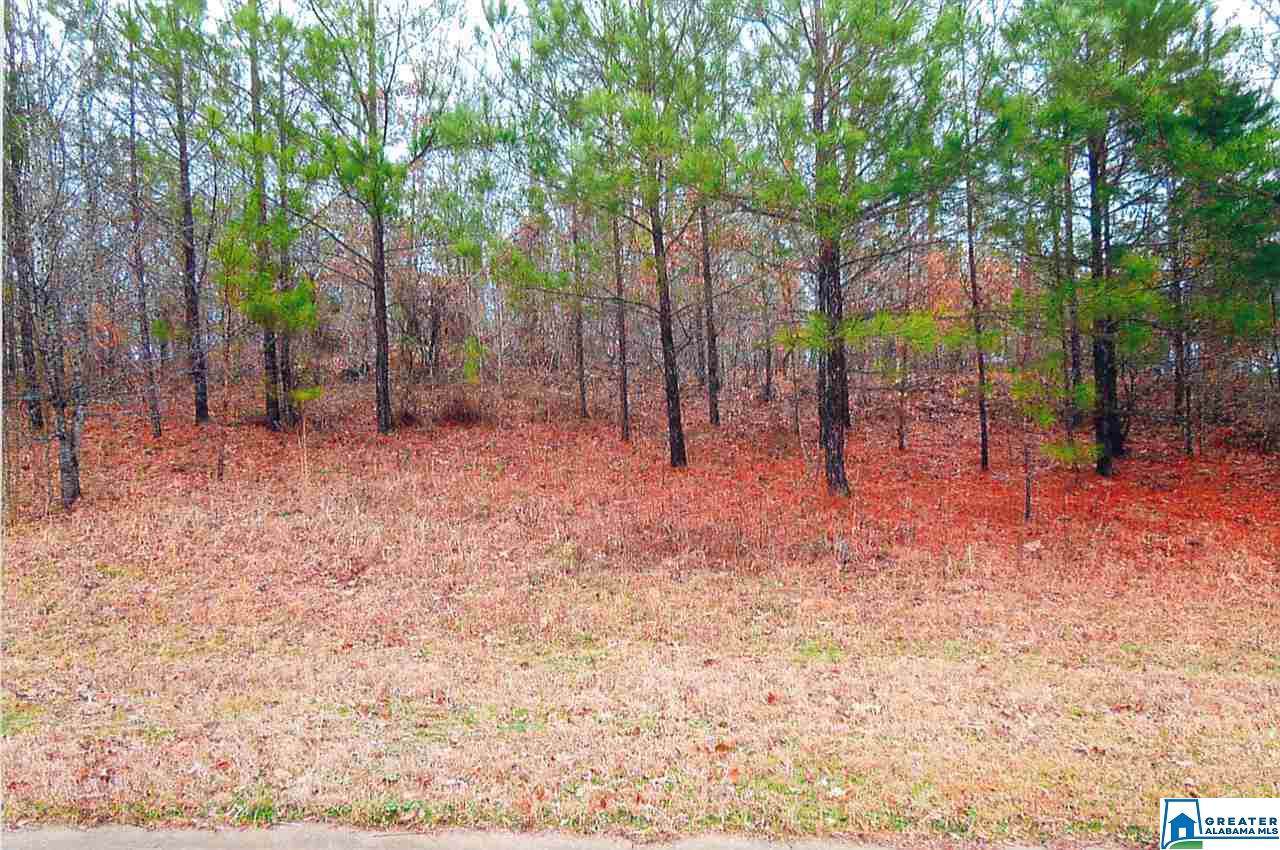 335 Richards Cir - Photo 1