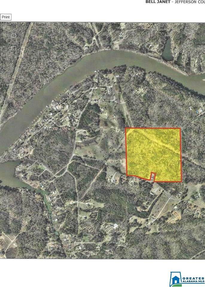 1241 Buddy Vines Camp Rd - Photo 1 1241 Buddy Vines Camp Rd - Photo 1