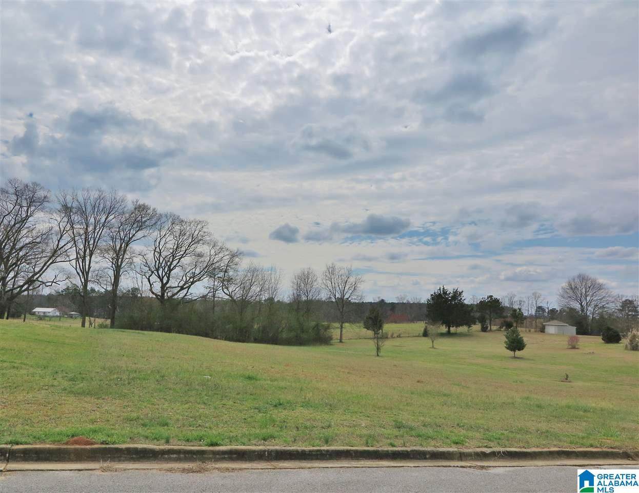 Lot 20 Oakview Way - Photo 1