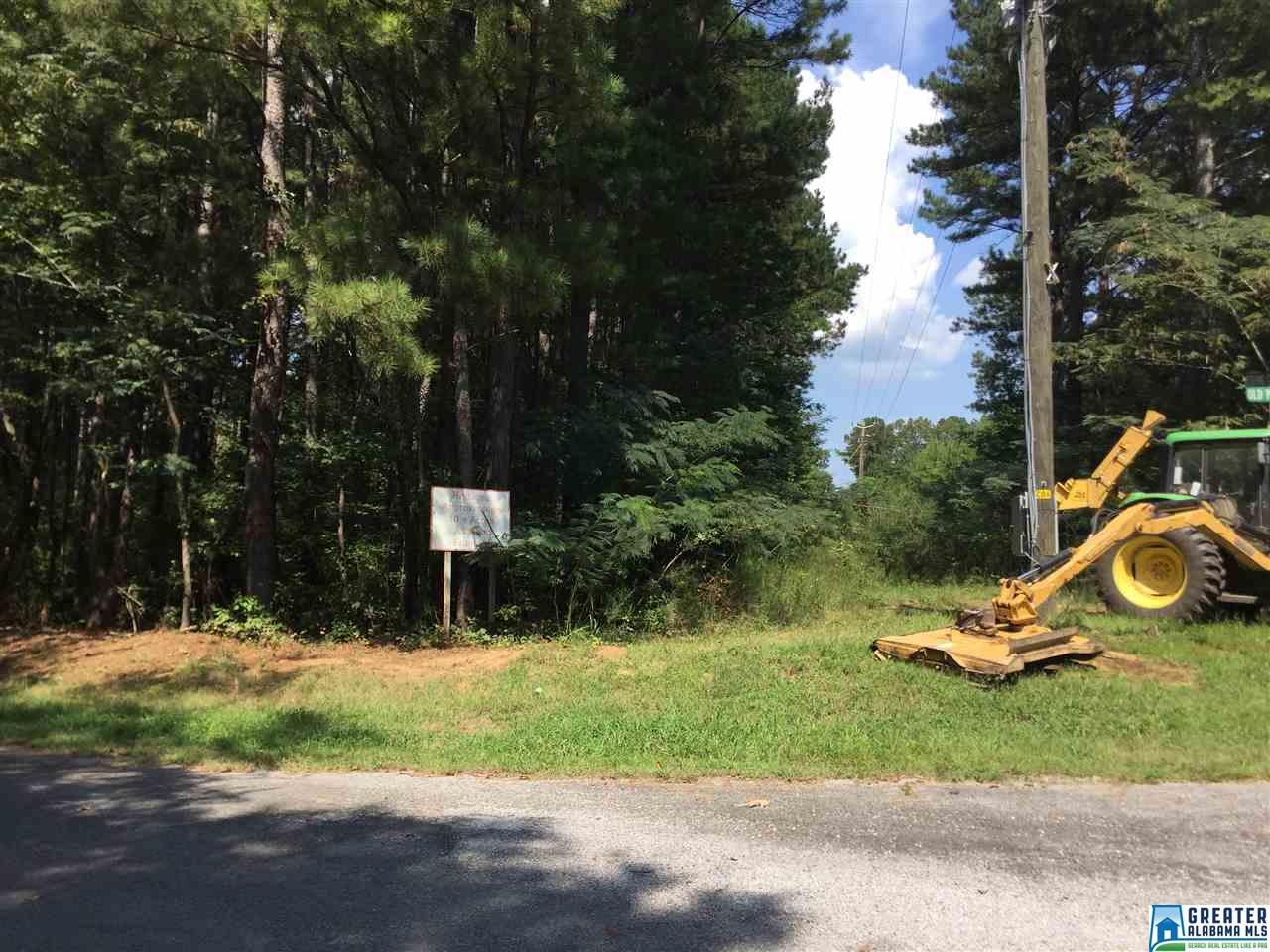 8095 Fishing Camp Rd - Photo 1