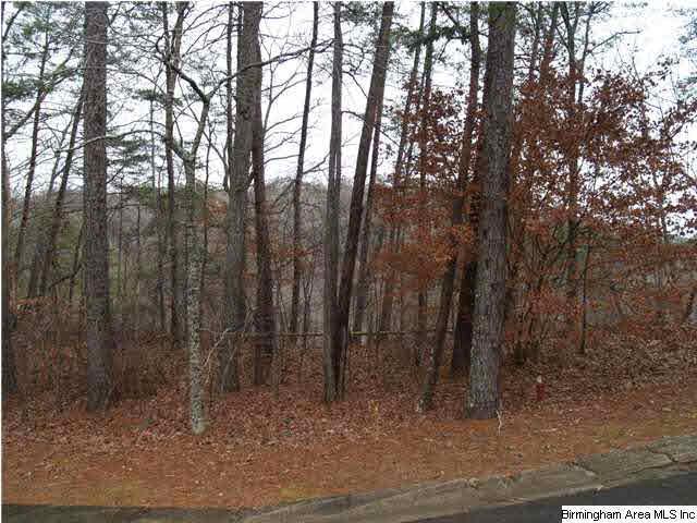 Lot 111 Ridge Dr - Photo 1 Lot 111 Ridge Dr - Photo 1