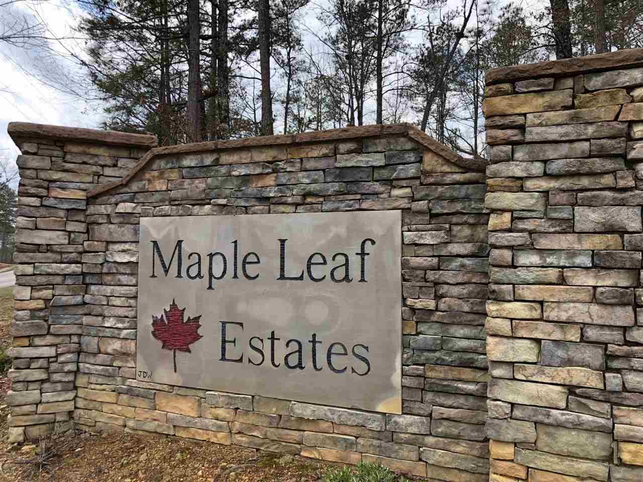 121 Maple Leaf Trl - Photo 1