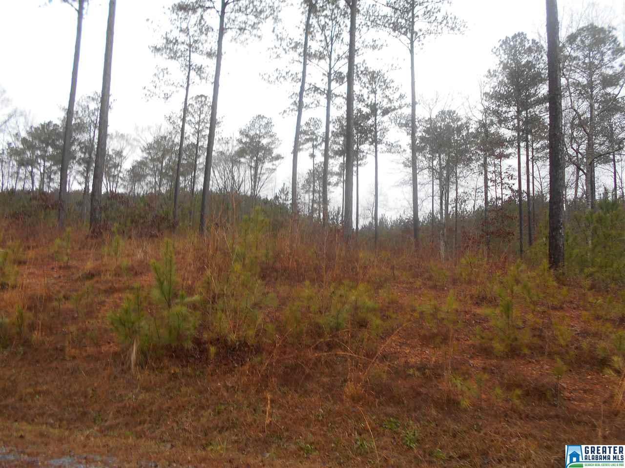 lot 54 Waterford Dr - Photo 1